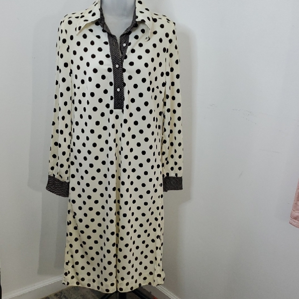 Polka Dot Long Sleeve Dress